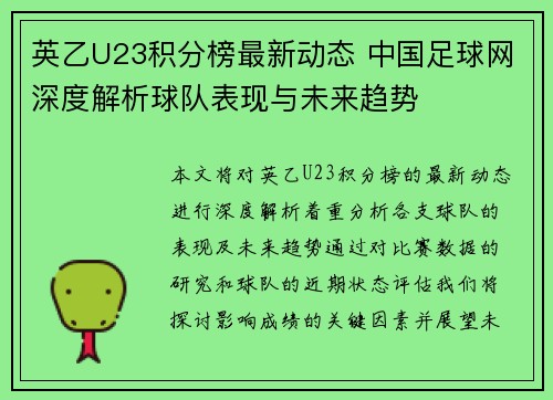 英乙U23积分榜最新动态 中国足球网深度解析球队表现与未来趋势